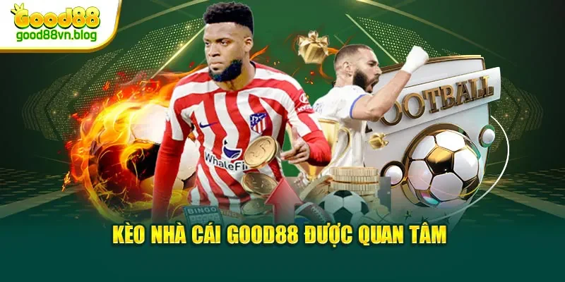 keo-nha-cai-good88-duoc-quan-tam